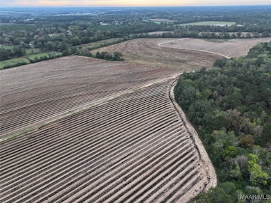 2833 Omussee Rd, Dothan, AL 36303 - photo 6