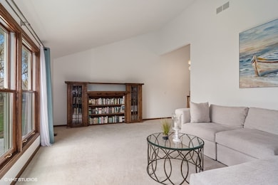 1125 Huntleigh Dr, Naperville, IL 60540 - photo 6