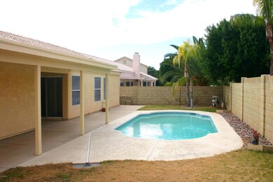 Pool & Back Yard