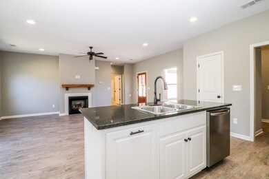 1049 Briarwood Dr, Oxford, MS 38655 - photo 5