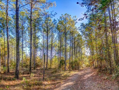 69 Highway 80 Rd, Auburn, AL 36830 - photo 6