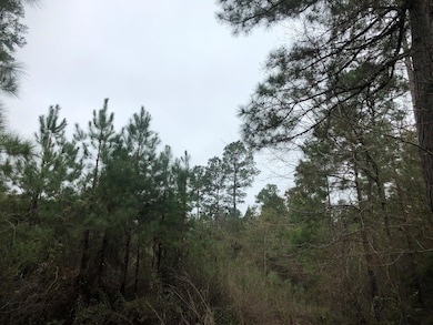 View of nature