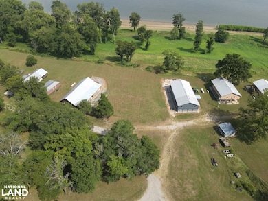 201 Hodge Rd, Tallulah, LA 71336 - photo 7