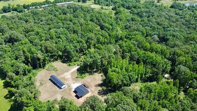 Drone / aerial view with a view of trees