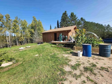 6821 Barrett Rd, Chisholm, MN 55719 - photo 2