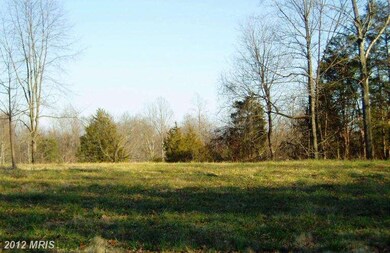 0 Mt Pisgah Church Rd unit 1003863084, Orange, VA 22960 - photo 5