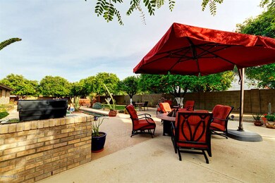 Backyard - 6