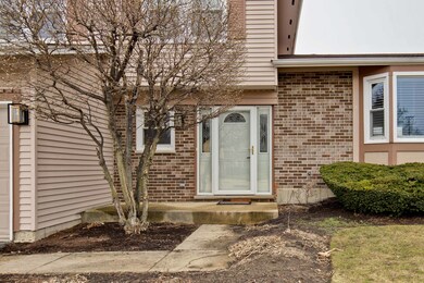 241 Osage Terrace, Buffalo Grove, IL 60089 - photo 2