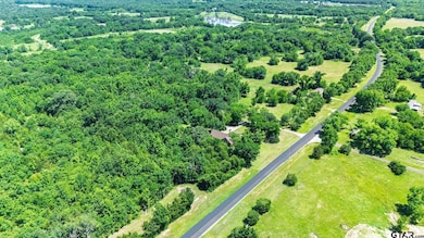 11591-1 Farm Road 269 S, Pickton, TX 75471 - photo 6