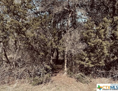 13184 Harbor Dr, Temple, TX 76502 - photo 2