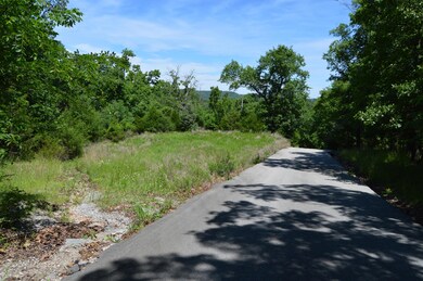 Tbd Cadillac Cove Rd, Ruth B Rural Township, MO 65686 - photo 2