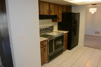 Tons Of Cabinet Storage!
