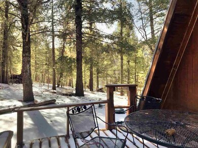 8 Big Bend Cut Off unit 6, Cloudcroft, NM 88317 - photo 6