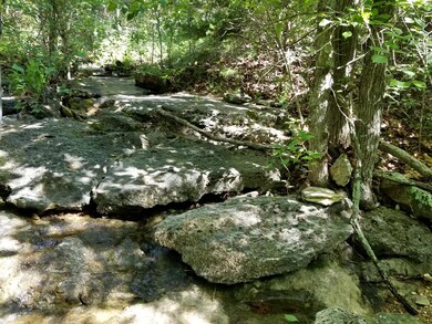 20180622_095738 (Copy)