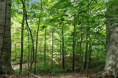 4.92 Acre Wooded Lot
