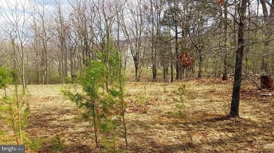 0 Orion Ct unit WVMO2001398, Berkeley Springs, WV 25411 - photo 7