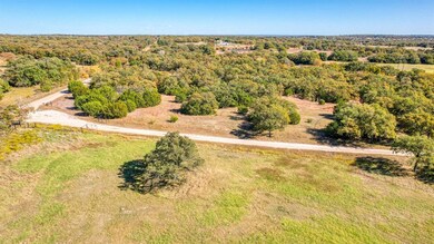 Lot 53 Perkins Rd, Poolville, TX 76487 - photo 3
