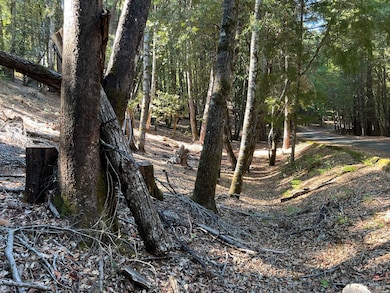 27208 Bear Cir, Brooktrails, CA 95490 - photo 2