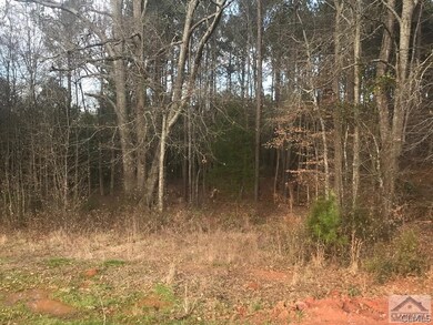 1820 Lea Haven Way, Athens, GA 30606 - photo 4