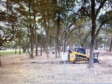 0 Highway 6 and Top Hat Rd unit 93112345, Alvin, TX 77553 - photo 2