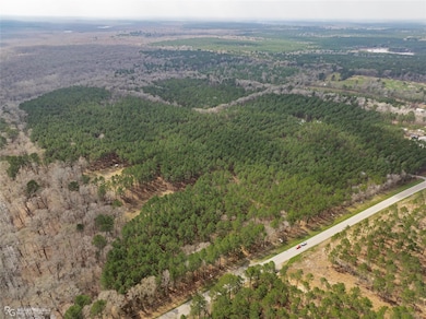 0 Louisiana 157 unit 20232463, Benton, LA 71006 - photo 4