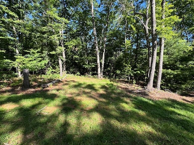 3058 River Rd, Mineral Bluff, GA 30559 - photo 5