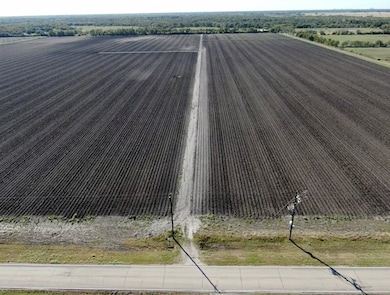 1010 County Road 23, Damon, TX 77430 - photo 5