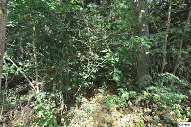 Additional View 6