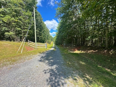 0 Muddy Creek Mountain Rd, Lewisburg, WV 24901 - photo 3