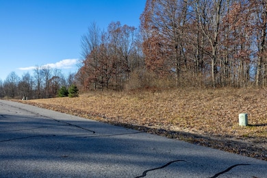 11549 Shamrock Ct, Stanwood, MI 49346 - photo 3