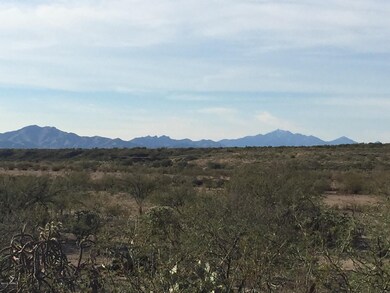 Mnt view