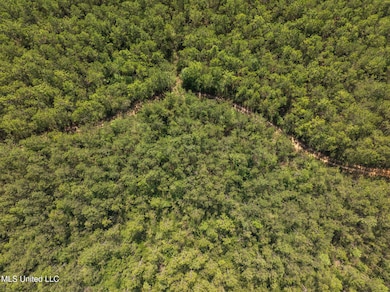 Herman_Ladner_Road_Lot_9-6