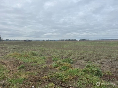 1420 Birch Bay Lynden Rd, Lynden, WA 98264 - photo 4