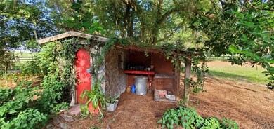 19495 SE 80th St, Morriston, FL 32668 - photo 7