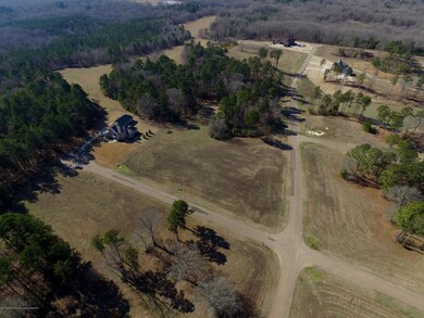 29 Ginners Ln, Hernando, MS 38632 - photo 7