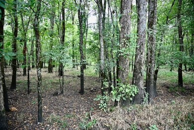 TBD W Fm 71, Talco, TX 75487 - photo 5