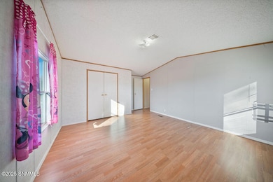 555 B Romig Dr, Hatch, NM 87937 - photo 4