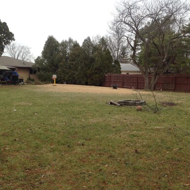 Park-Like Backyard
