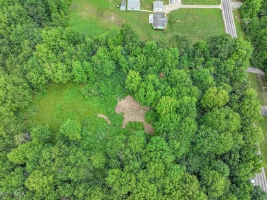 V/L Austin Rd, Geneva-On-the-lake, OH 44041 - photo 5