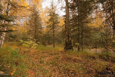 12440 Atherton Rd, Anchorage, AK 99516 - photo 2