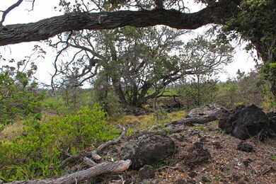 0 Bougainvillaea Dr unit 722379, Ocean View, HI 96737 - photo 3