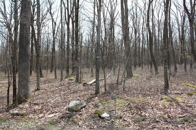 220 Mountain Top Rd, Lackawaxen, PA 18435 - photo 3