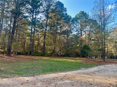 187 Hiram Barron Rd, Pollock, LA 71467 - photo 5