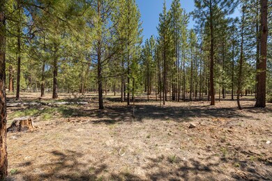 3900 Lot Wagon Trail_ (7)