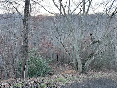 1611 Mountain Dreams Way, Sevierville, TN 37862 - photo 2