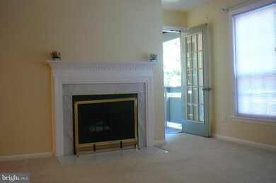 11717 Karbon Hill Ct unit 709H, Reston, VA 20191 - photo 5