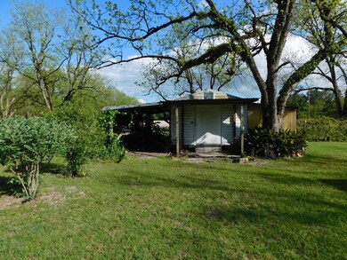 BLUEBERRIES GRAPES PECAN TREES