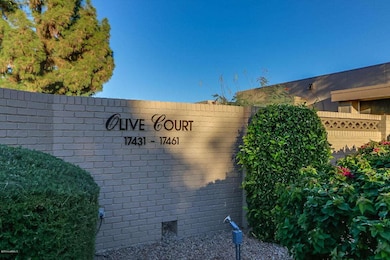 17431 N 105th Ave, Sun City, AZ 85373 - photo 6