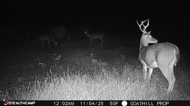 17.65 Acres Alabama 87, Samson, AL 36477 - photo 6