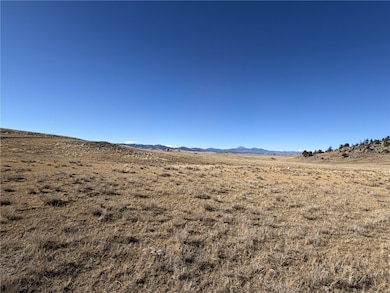 2665 Caddo Rd, Hartsel, CO 80449 - photo 2